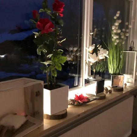 Apartman Studio Veronika *