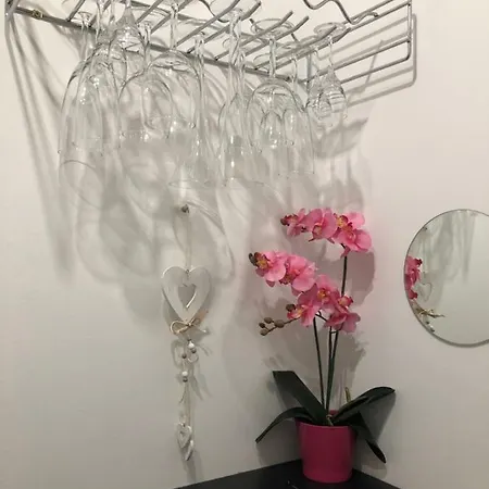 Studio Veronika *